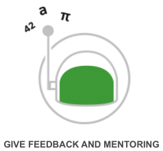 Provide feedback and mentoring